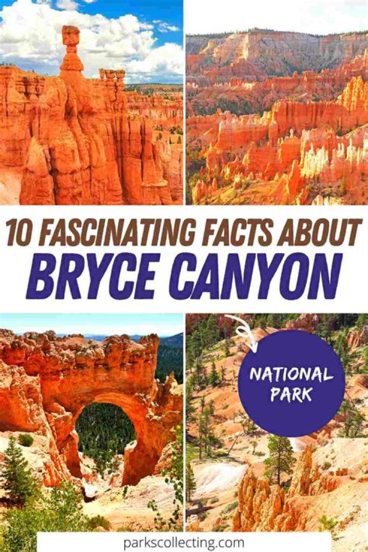 10 Fun Facts About Bryce Harper's Wife Kayla Varner Off the Field News