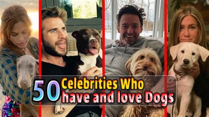 14 Celebrities Who Love Their LGBTQ+ Family