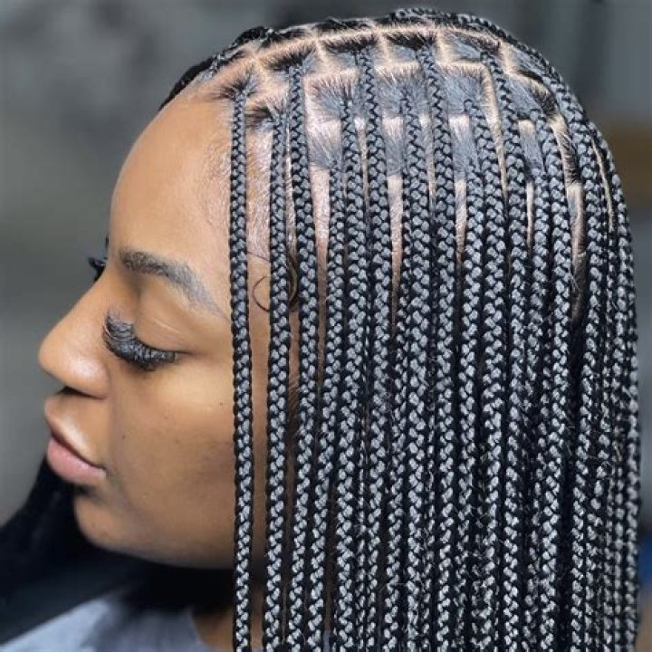 20 best knotless braids hairstyles to rock in 2021 Tuko.co.ke