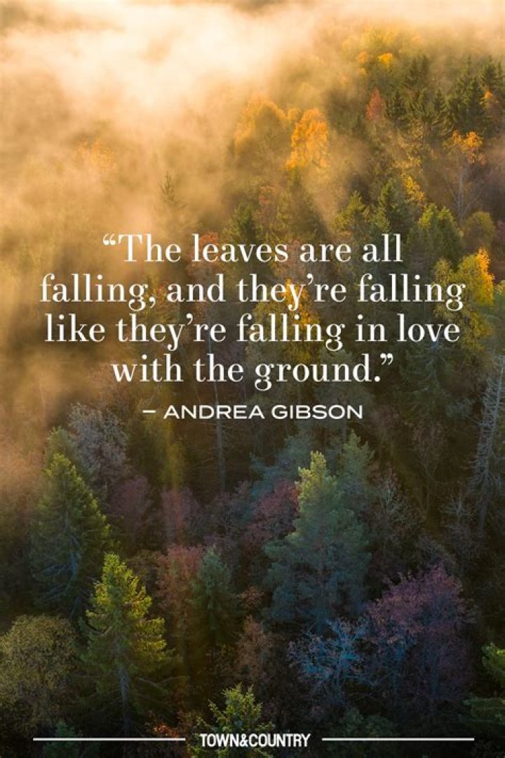 30 Greatest Quotes About Falling In Love
