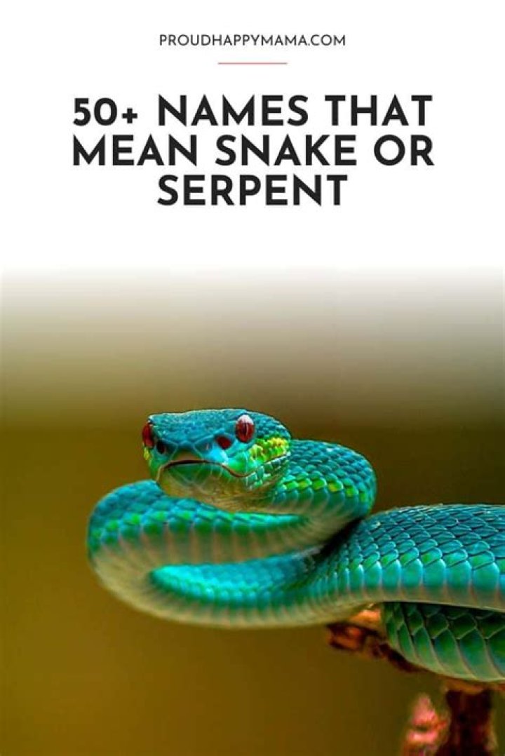 50 Names That Mean Snake or Serpent for Boys & Girls HappyBabyHub