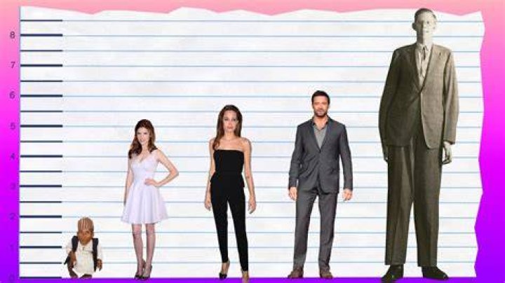 Anna Kendrick S Height Body Measurements And Weight E vrogue.co