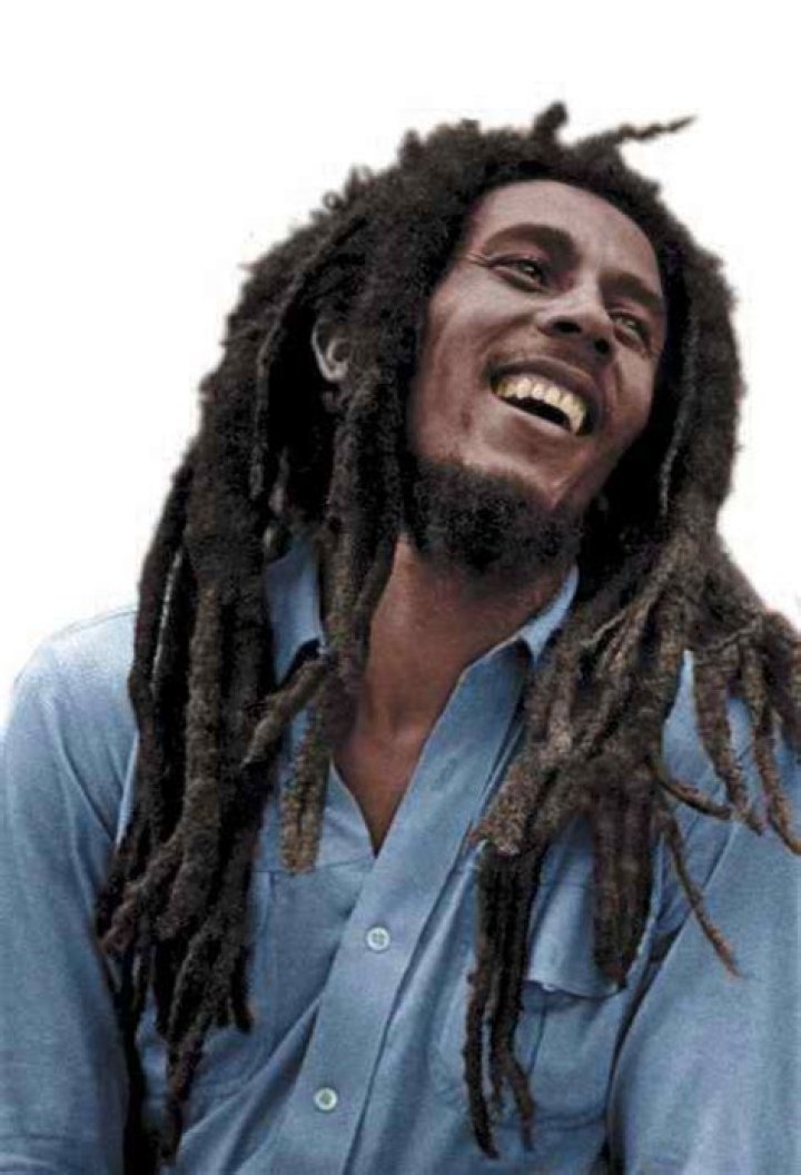 Bob Marley Sons Hair