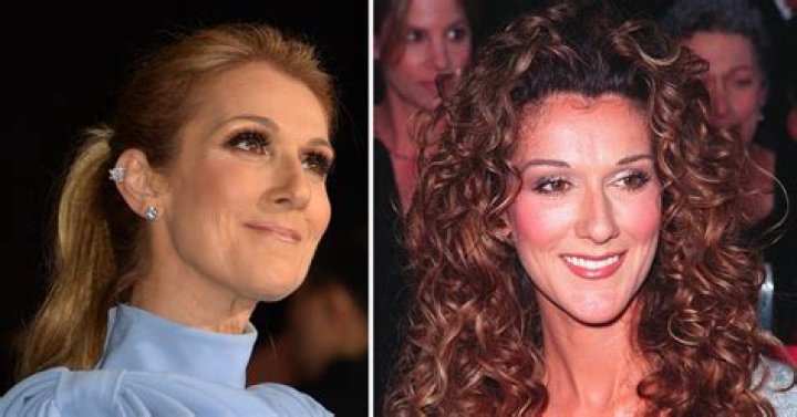 Celine Dion looks unrecognizable in photo nobody was expecting HELLO!