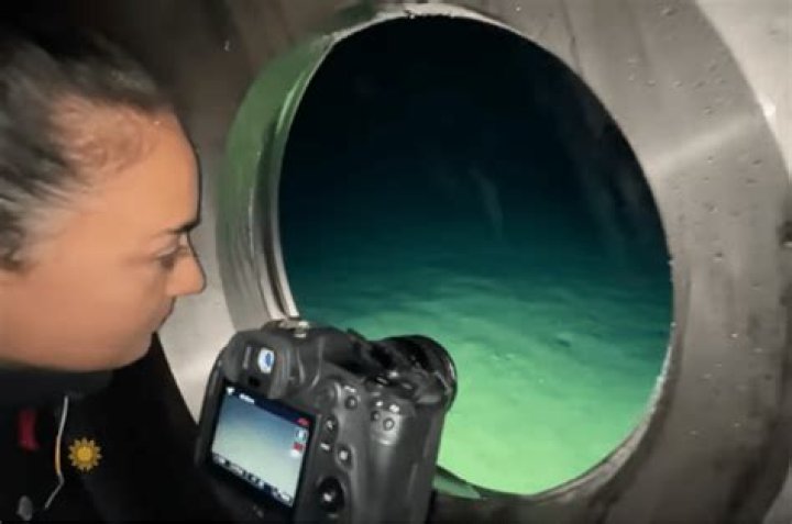 Claustrophobic Video Reveals Inside OceanGate's, 59 OFF