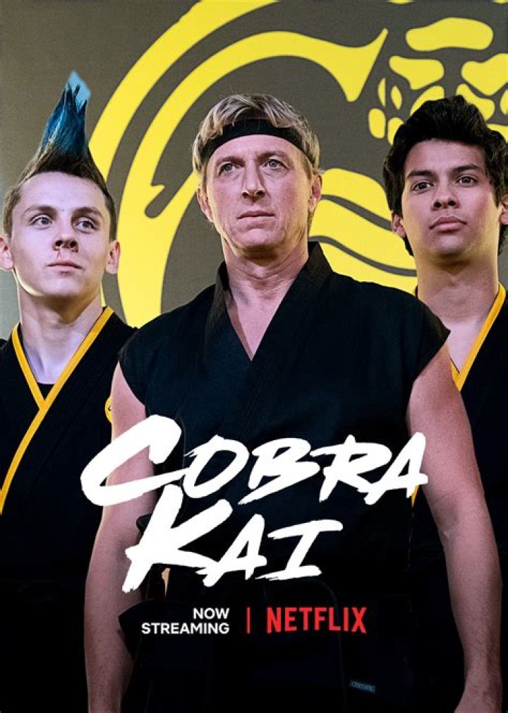 Cobra Kai Season 3 Release Date Out? Know Everything Here! TheNationRoar