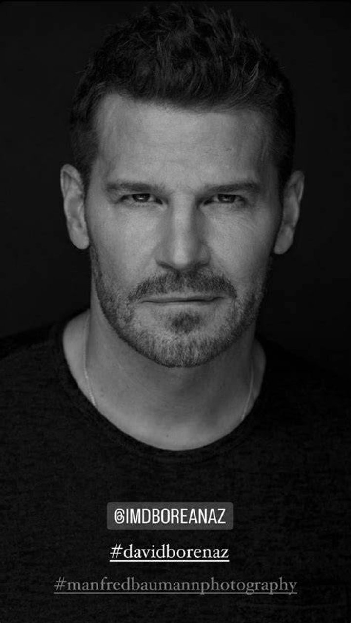David Boreanaz photo 12 of 499 pics, wallpaper photo 36789 ThePlace2