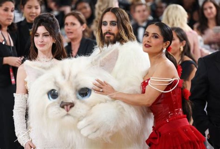 Doja Cat pumps up feline energy in tub of milk for ‘Streets’ live