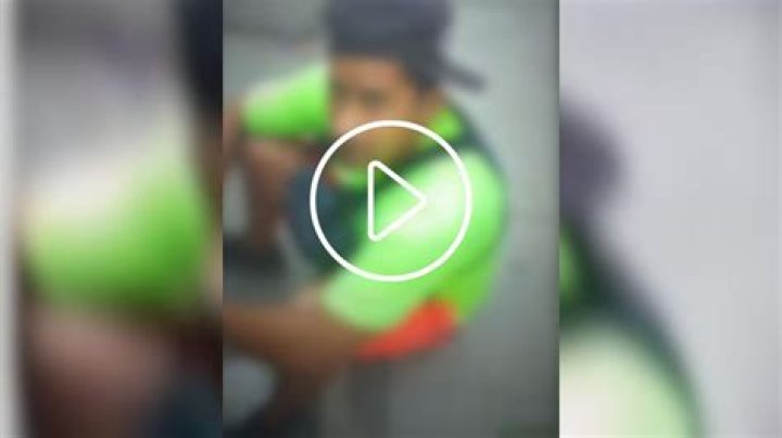 El Patrón Video Original Gore El Patrón Portal Zacarias Gore Shop Gấu Đôi