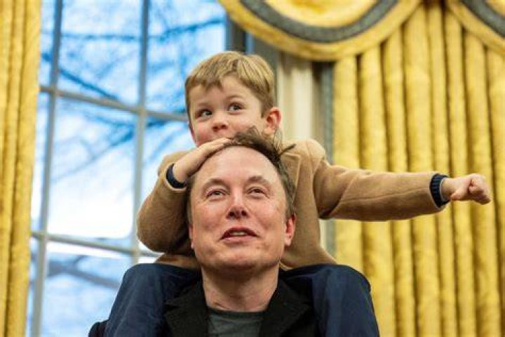 Elon musk e as novidades do Twitter. VENTRUE NOOB
