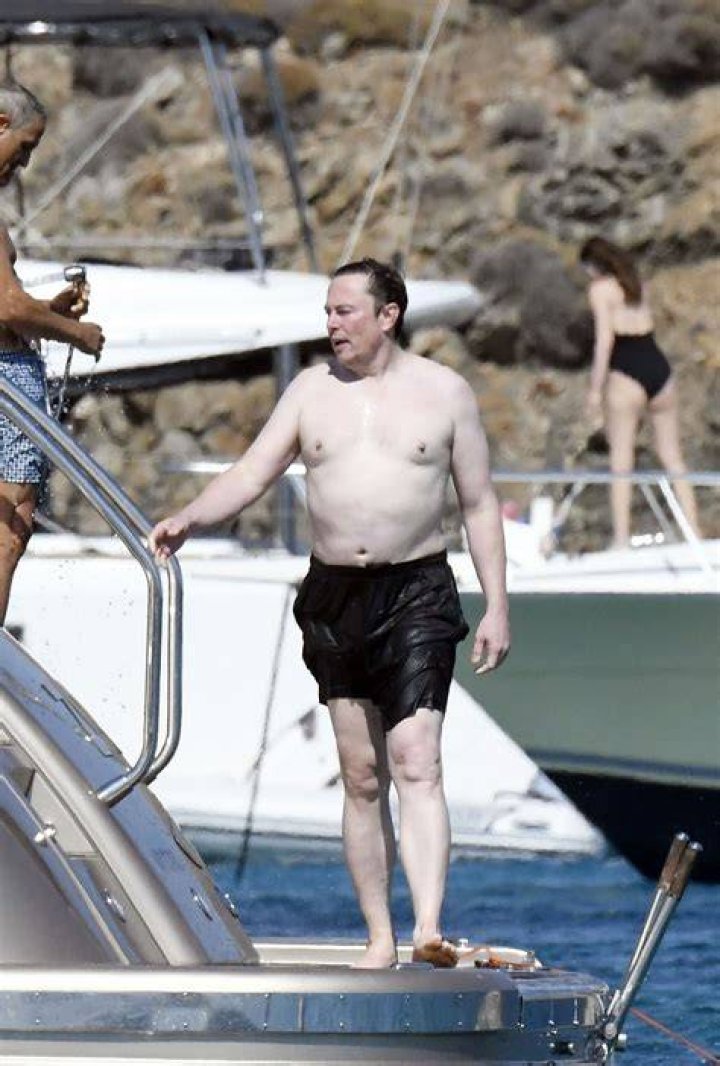 Elon Musk responds to pics of him shirtless in Mykonos 'Free the nip!'
