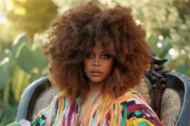 Erykah Badu age, height, husband, biography, family, net worth Kemi