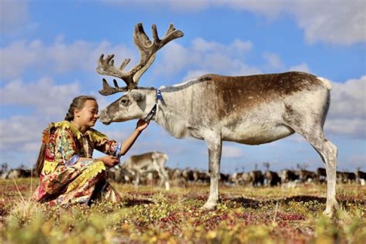 Expedition to Yamal 2019. Tour to Yamal with MZUNGU EXPEDITIONS
