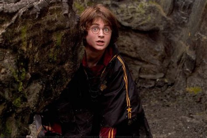 From Goblet of Fire Harry James Potter Photo (22934996) Fanpop
