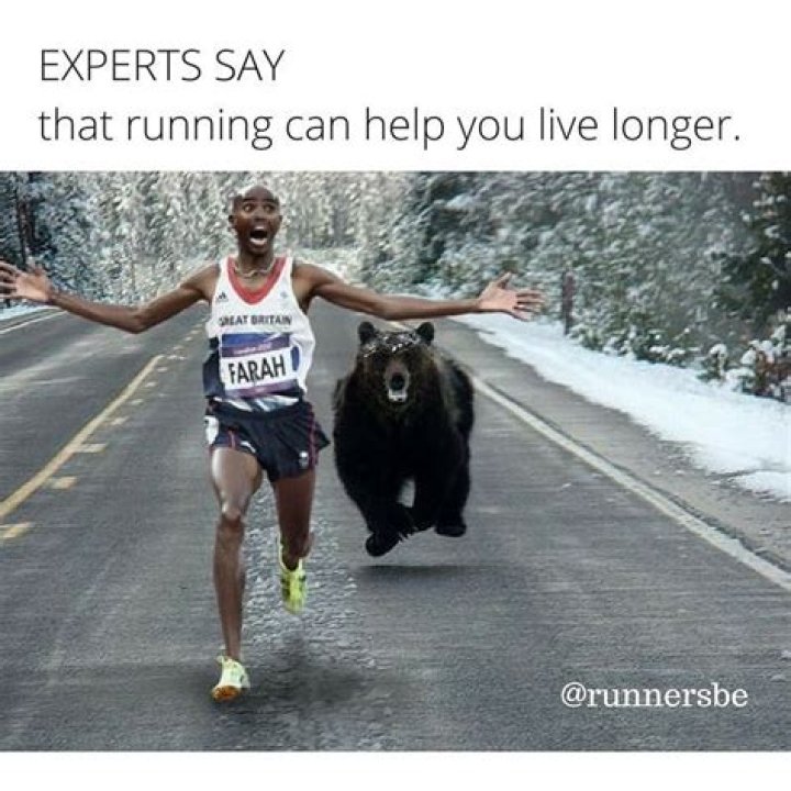 Funnyism Picture Funny pictures, Running memes, Workout humor