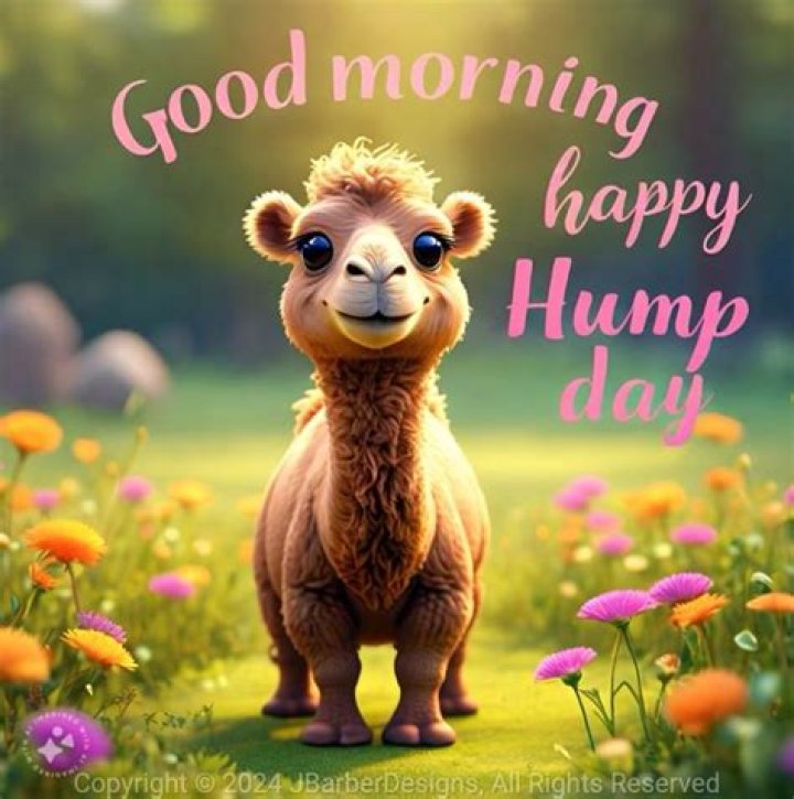 Good Morning! Happy Hump Day! Pictures, Photos, and Images for Facebook