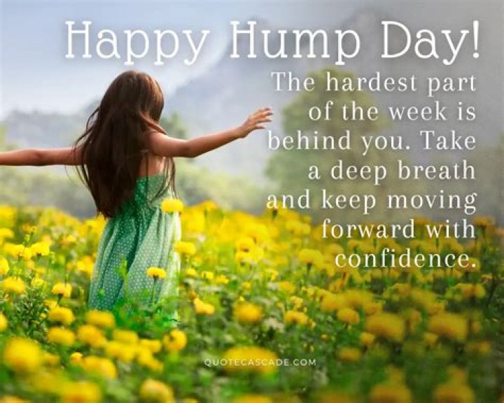 Happy Hump Day Quotes And Sayings. QuotesGram