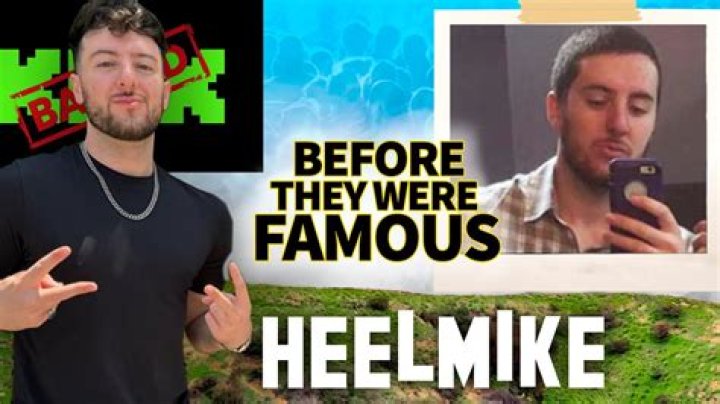 Heelmike Who is the controversial party streamer?
