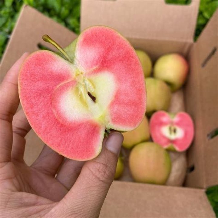 Hidden Rose Apple Buy organic pink inside apples online from Miami Fruit