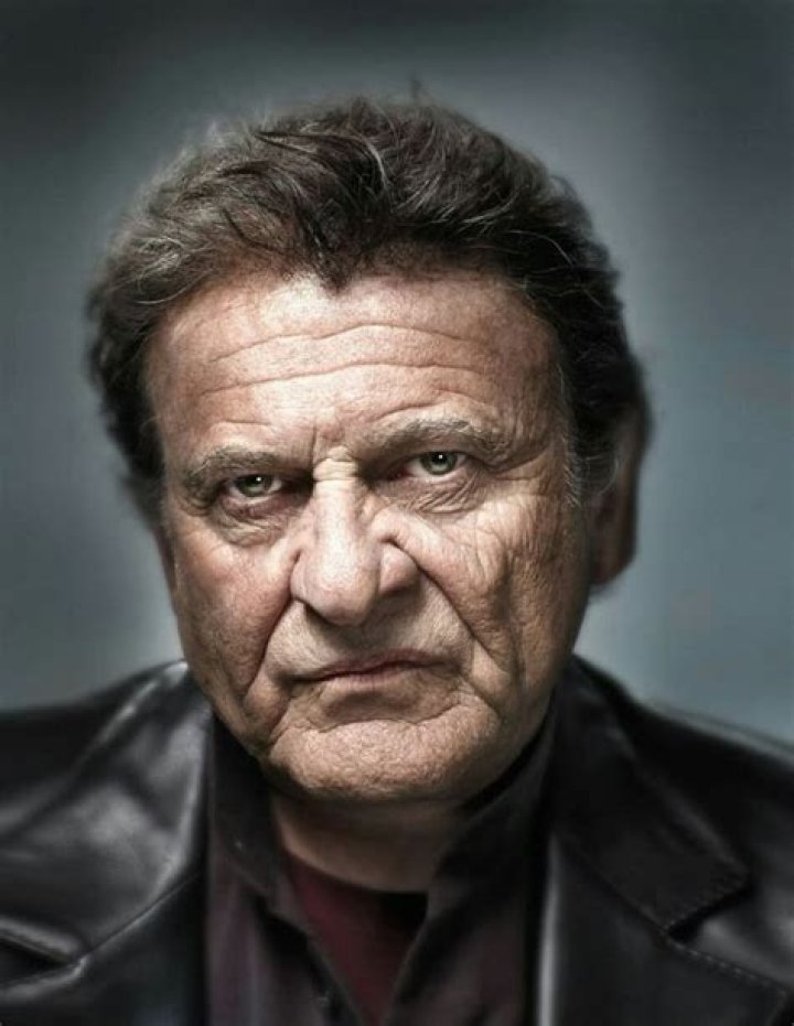 Joe Pesci Celebrity portraits, Interesting faces, Portrait