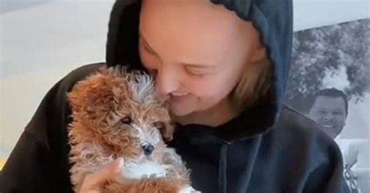 JoJo Siwa&rsquo;s Dog Dead After An &lsquo;Accident&rsquo; Hollywood Life