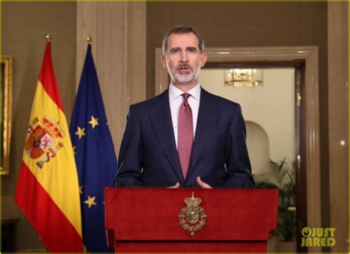 King Felipe Reveals Personal Fortune How Does It Compare to Queen's?