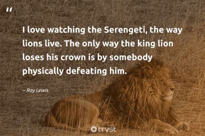 Lion King Quotes Text & Image Quotes QuoteReel