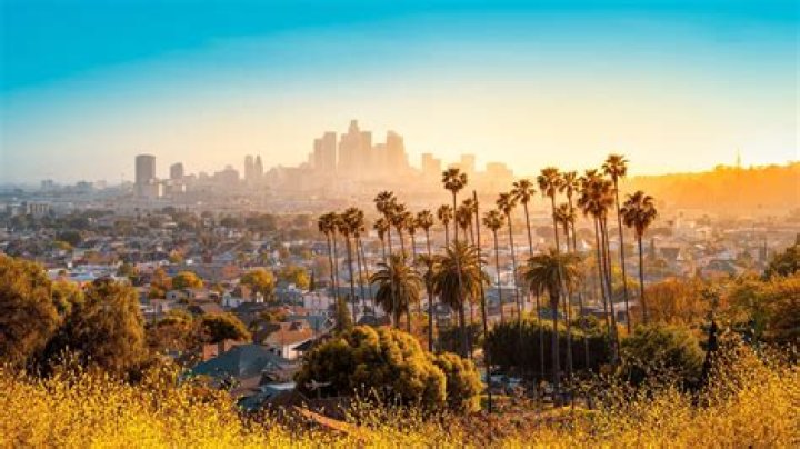 Los Angeles, United States. 27th Jan, 2019. LOS ANGELES, CA, USA