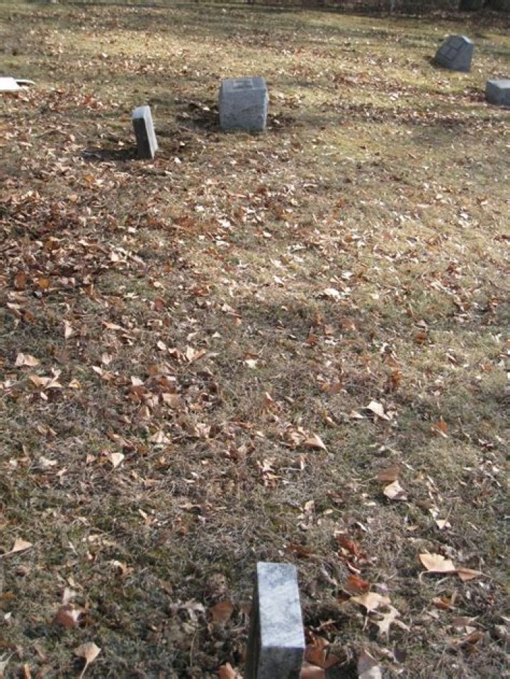 Mary Catherine &ldquo;Molly&rdquo; Moose Benfield Roots & Branches