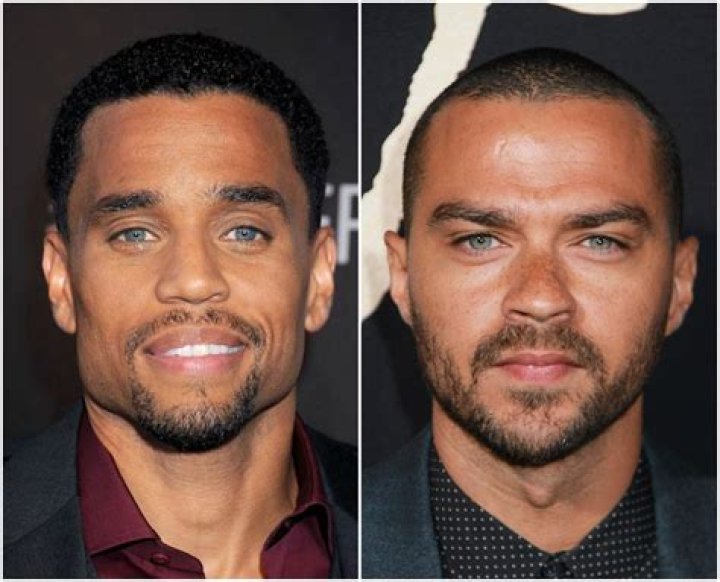 Michael Ealy Twin Brother All About This! United Fact
