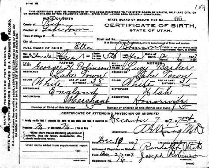 Michael Lavon Robinson Birth Certificate