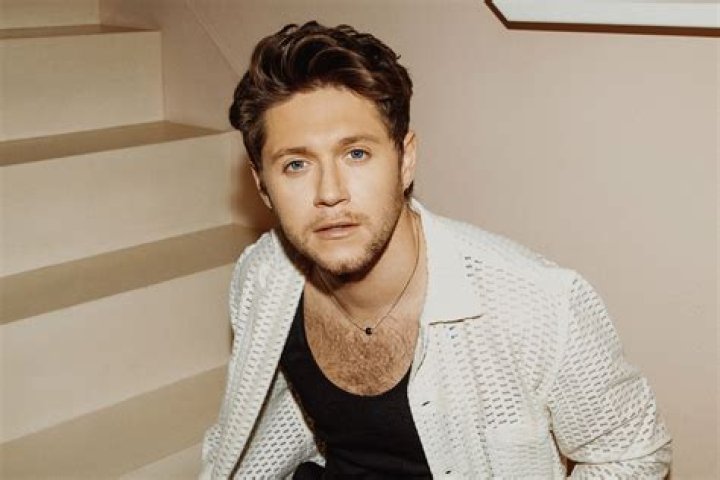 Niall Horan's Girlfriend Influenced A Song On His New Album