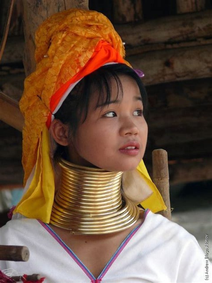 Padaung. Longneck women (35 pics)