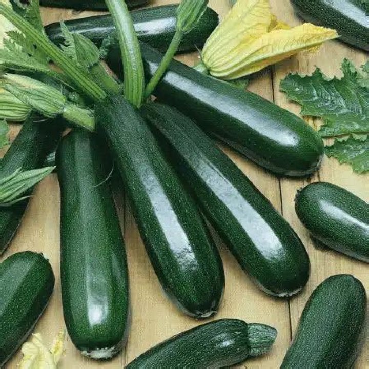 Paycheck Zucchini (Treated Seed) Seedway