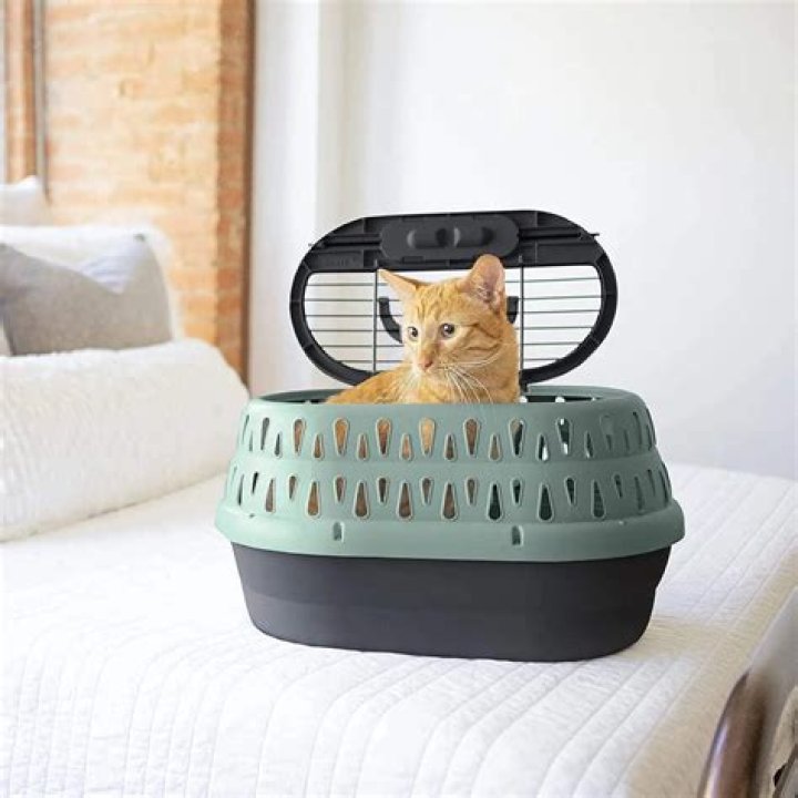 Petmate Two Door Top Load Dog Kennel Pet Coupons