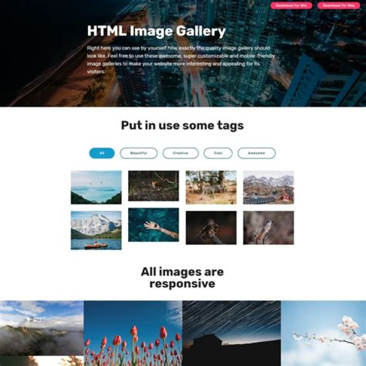 Photo Gallery Click image to close this window One tree