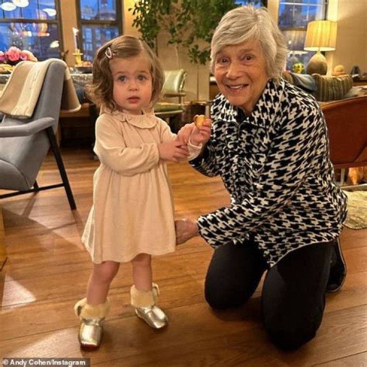 Pictures Of Andy Cohen / Andy cohen has been a dad for eight months