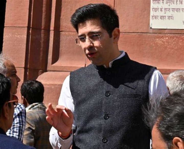 Raghav Chadha FauveFinlaec
