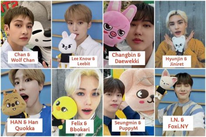 Skzoo Names 03.02.21 Crazy kids, Kids zoo, Stray kids outfits