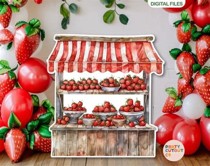 Strawberry Stand for Kids Big Kid or Little Kid Singletier Etsy
