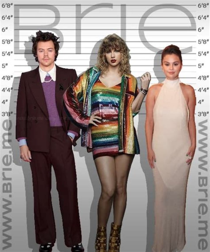 Taylor Swift Height Brie