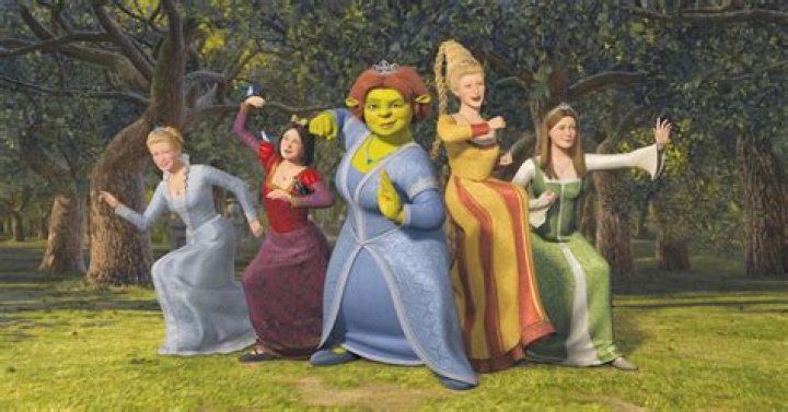 The 10 best female Shrek characters of all time, ranked Tuko.co.ke