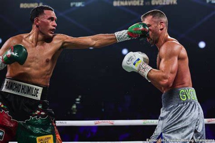 The Ultimate Guide To Cruiserweight Success