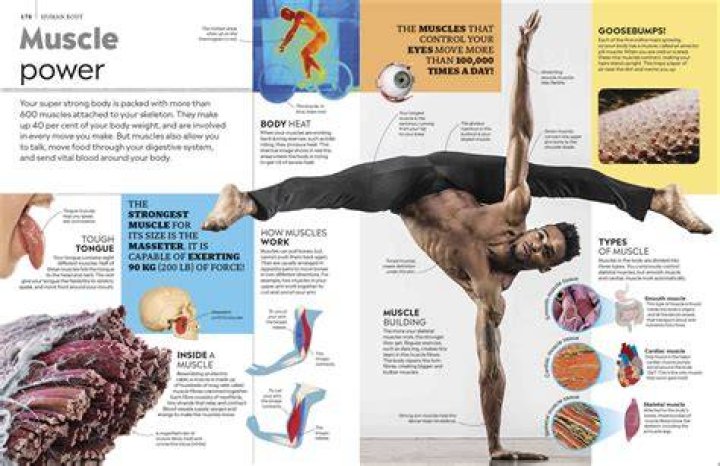 The Ultimate Guide To The Michael Jackson Autopsy