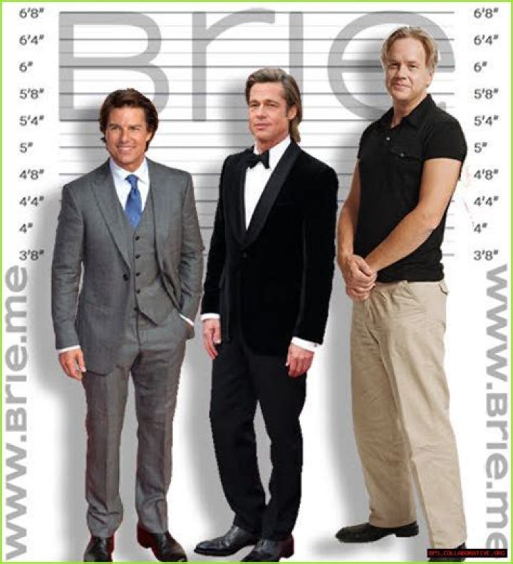 Tim Robbins Taille “Tim Robbins Sa Taille Surprenante Expliquée