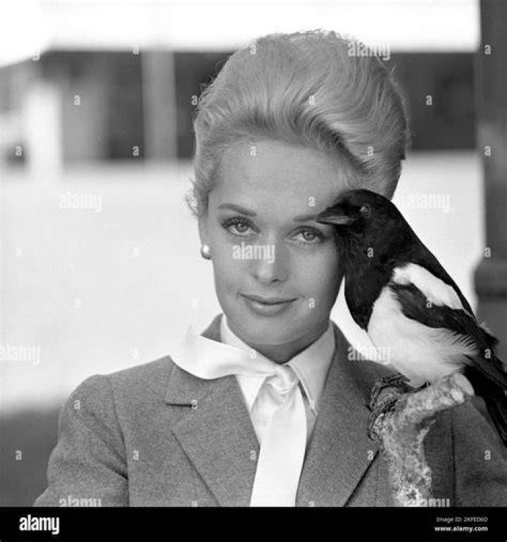 Tippi Hedren's Dating History From Peter Griffith to Luis Barrenechea