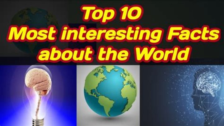 Top 10 Interesting Facts on David Muir Relationships