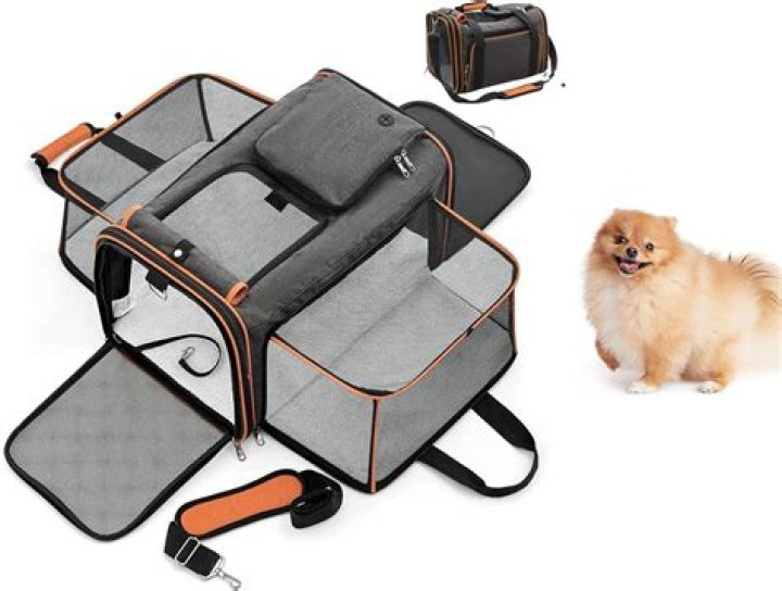 Top Loading Cat Carrier Amazon