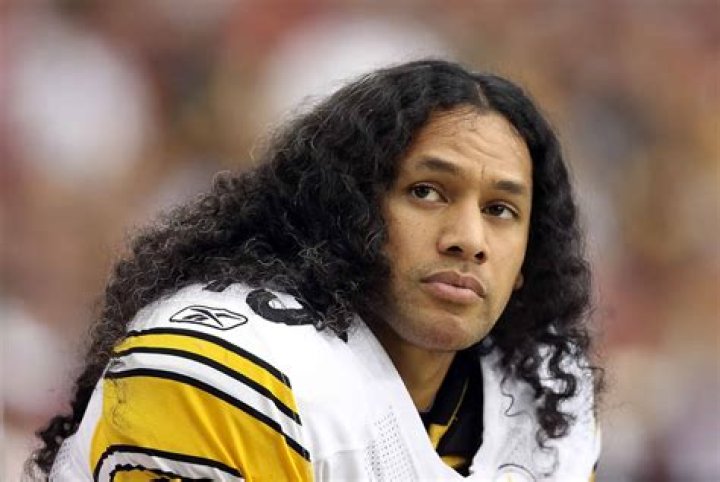 Troy Polamalu's wife Theodora Polamalu has been in the picture for