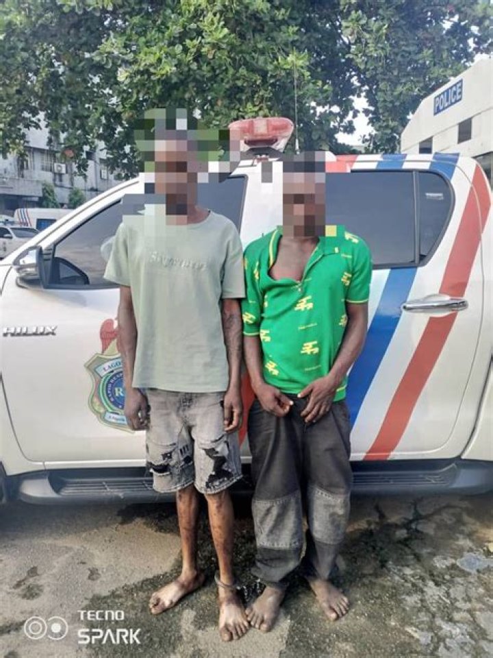 Two arrested for Lagos vehicle registration documents